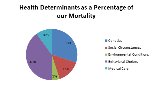 Social Determinants Of Health Pie Chart