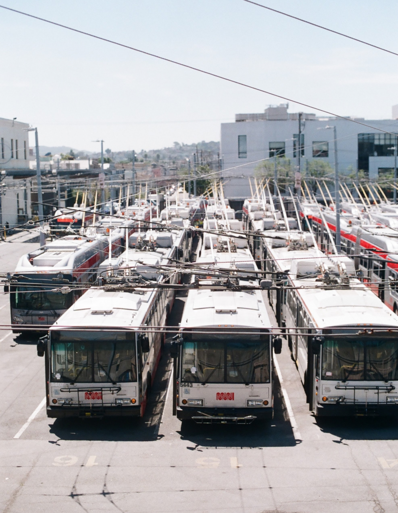 Fleet of Buses