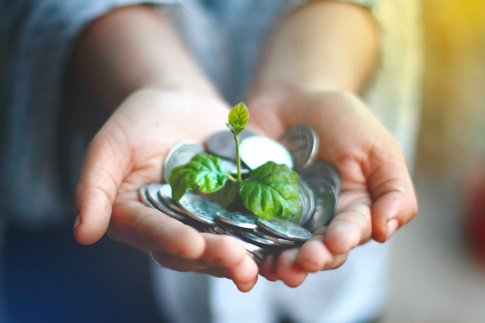 Hands holding pile of coins with plant coming out